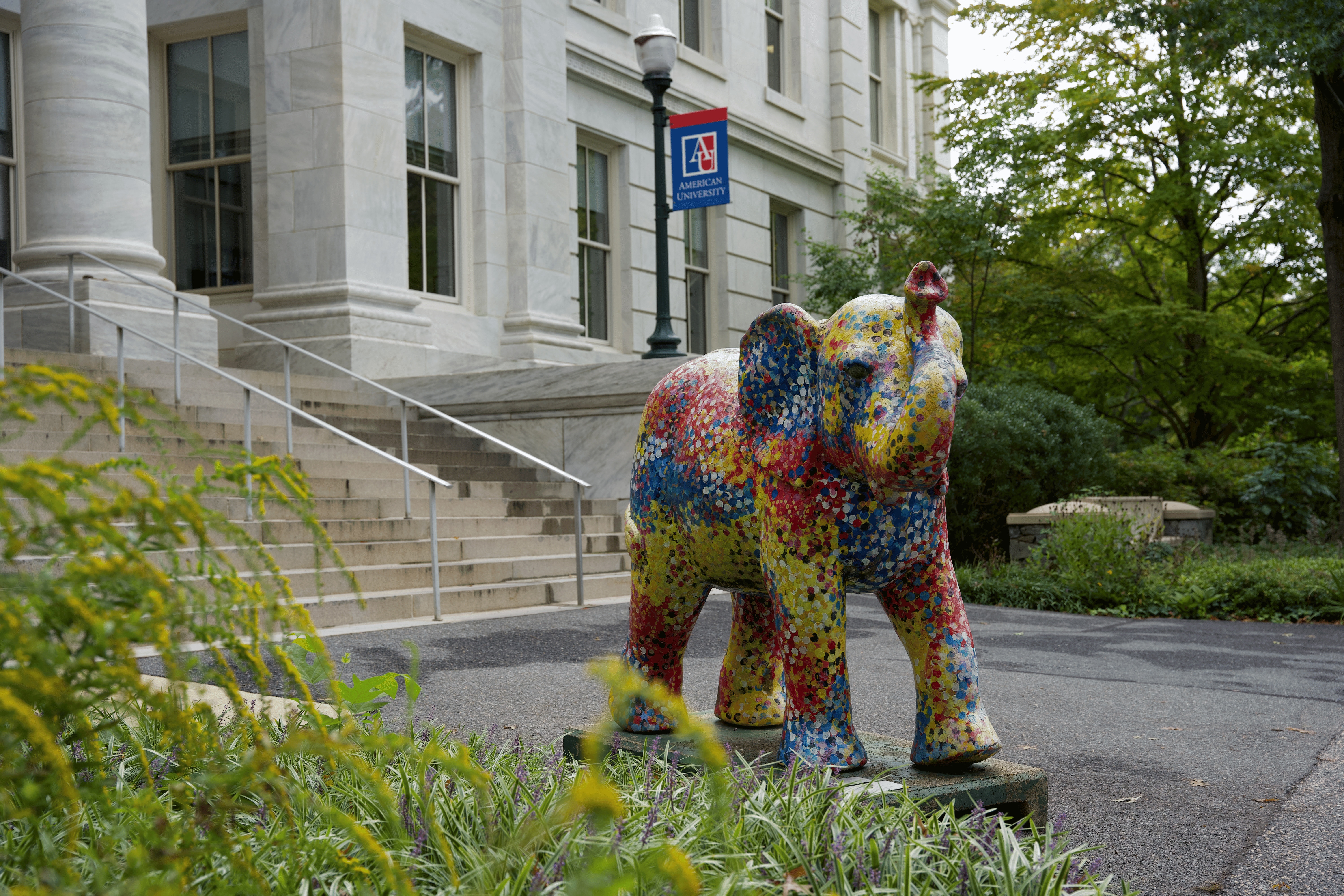 AU Park, DC Neighborhood Guide: Things to Do & Fun Facts